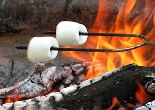 Love of S'mores...