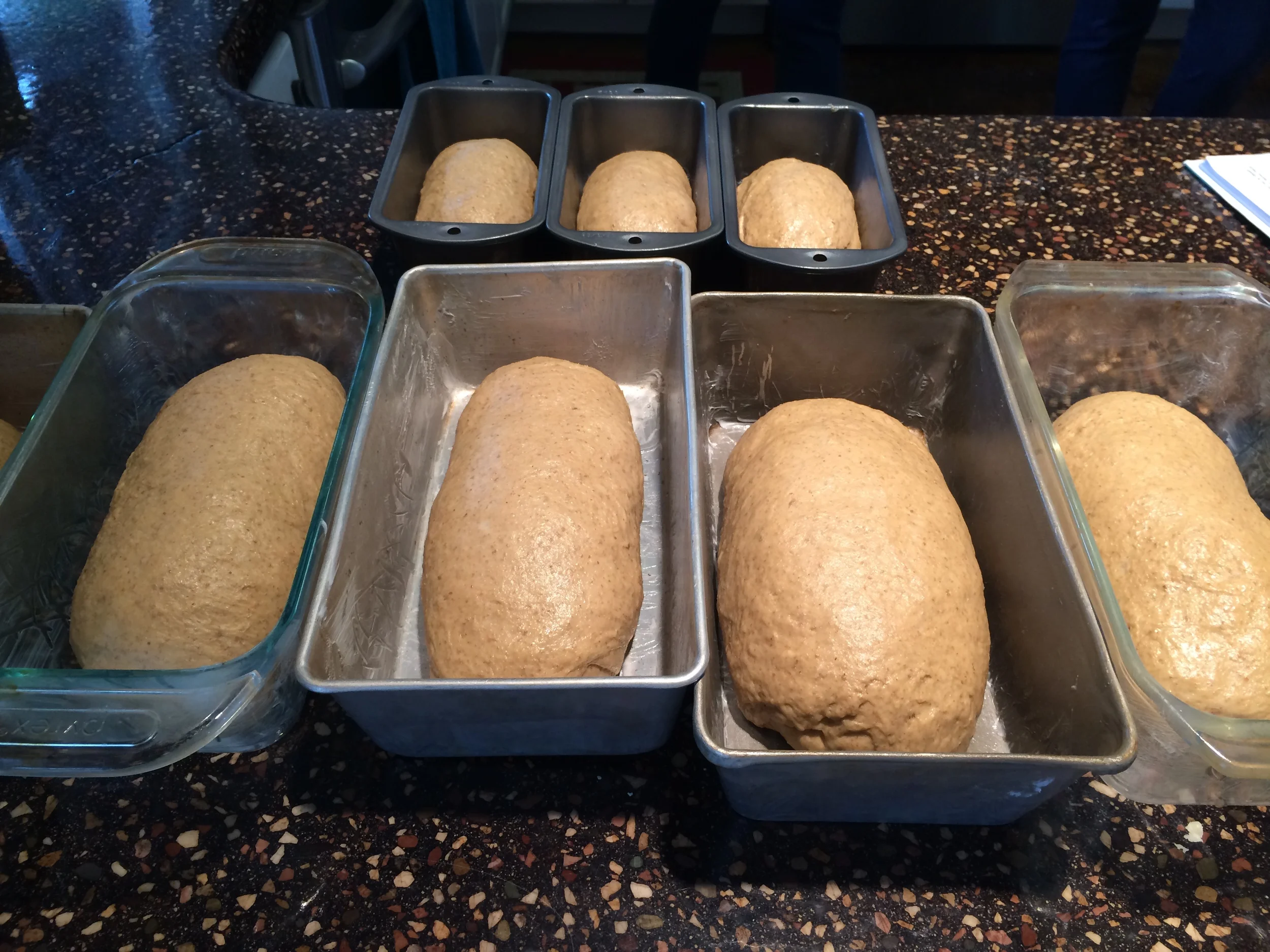 Loaves ready to bake...