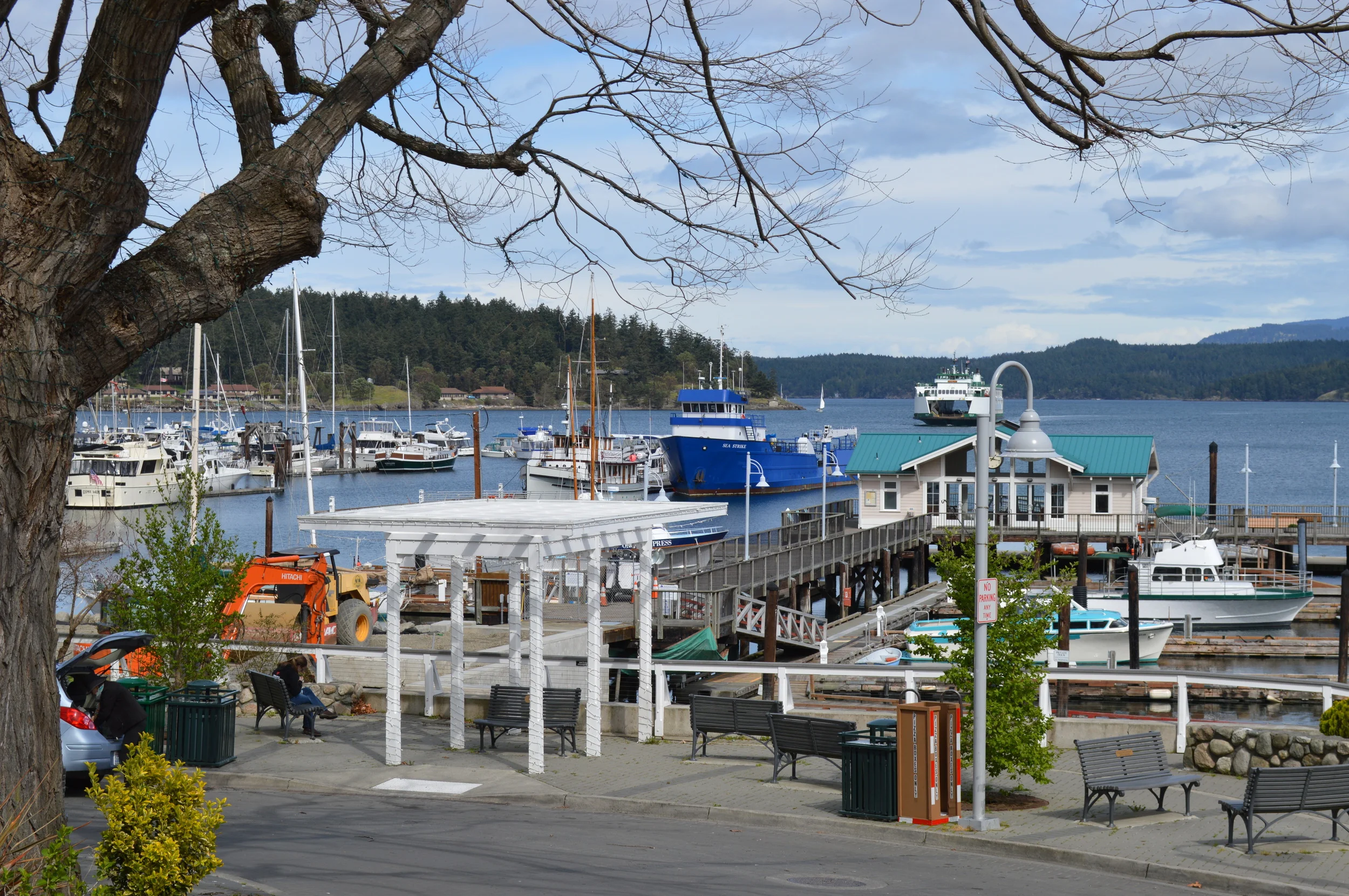 Friday Harbor fun...
