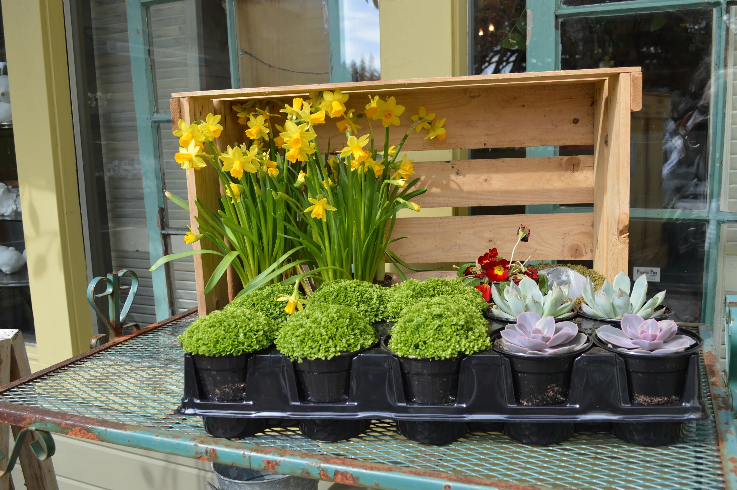 A touch of Spring...