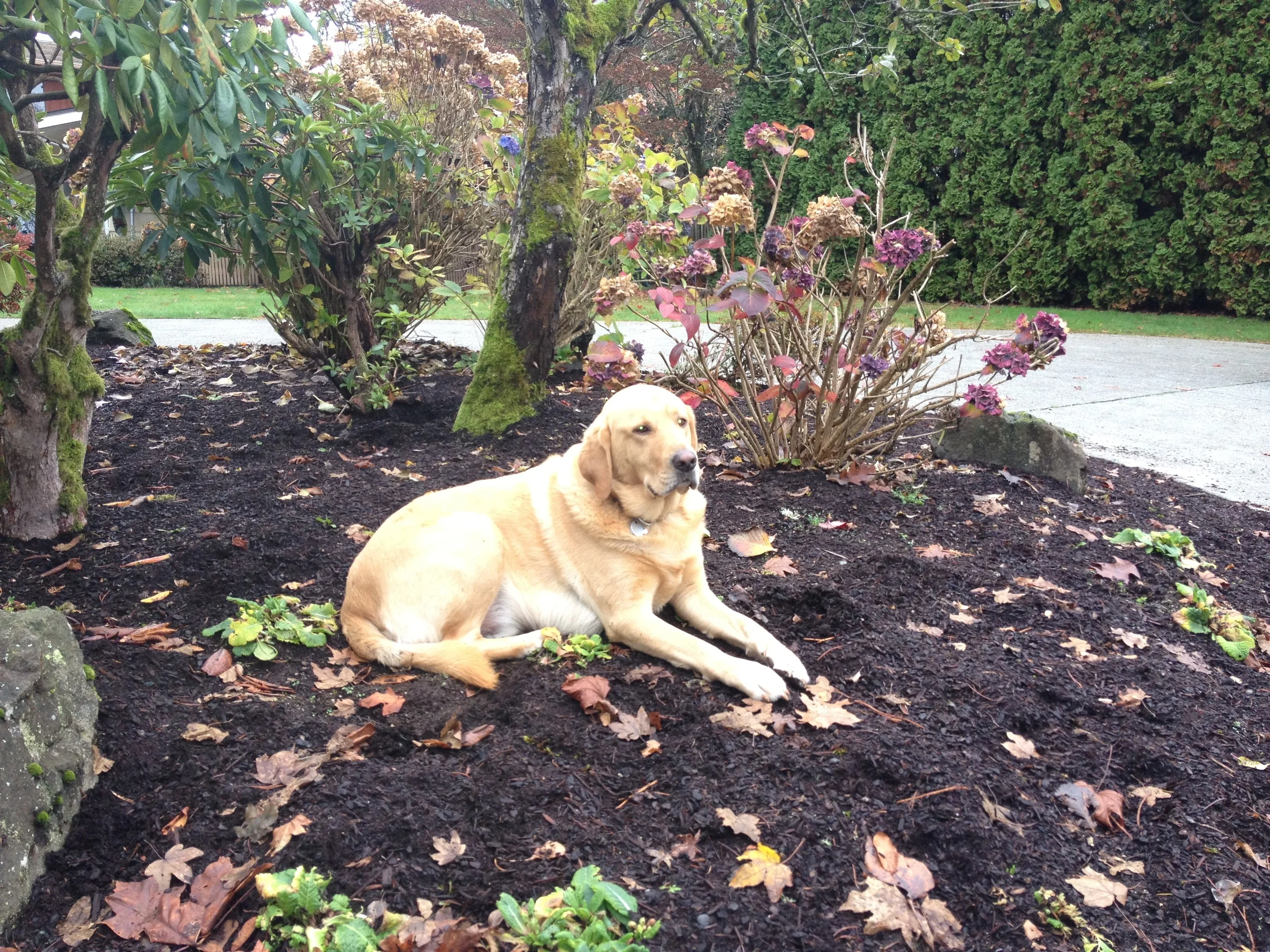 Front Porch Friday...