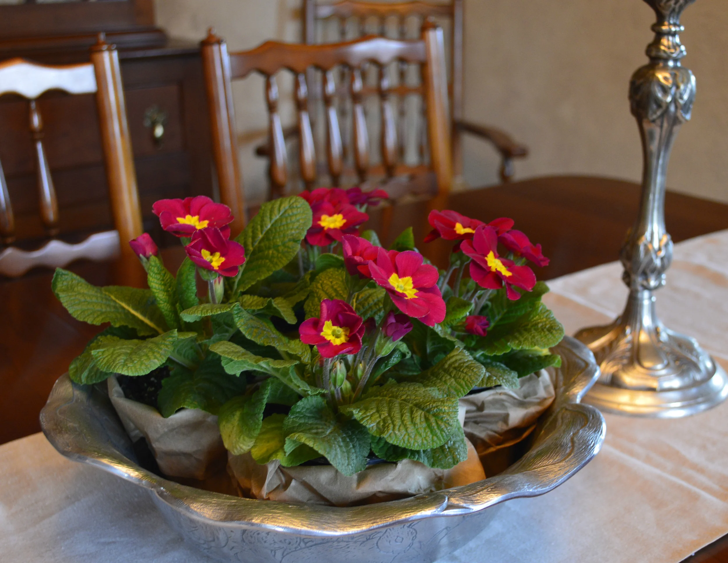 A Little Love For Valentine's Day...