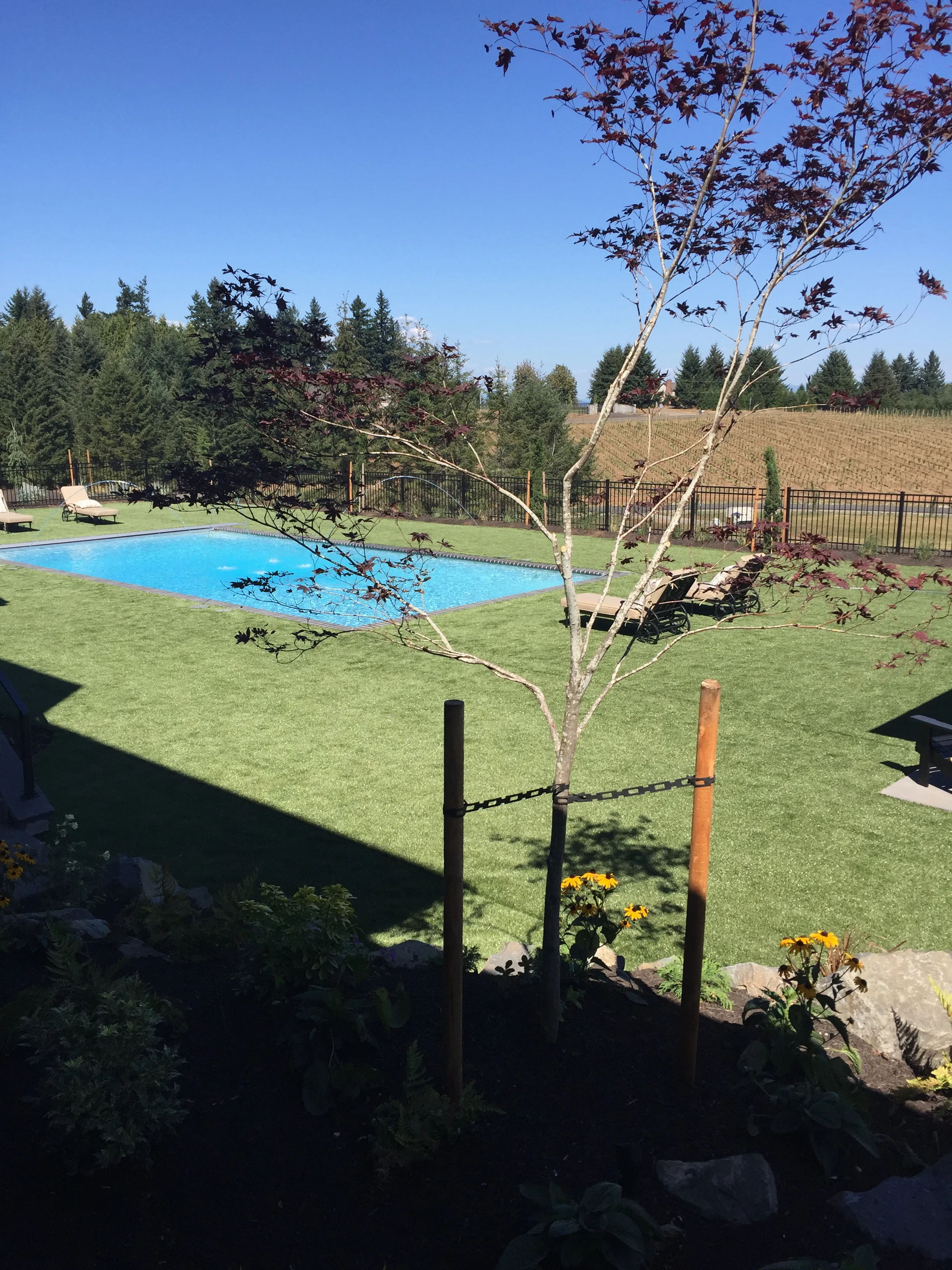The pool...
