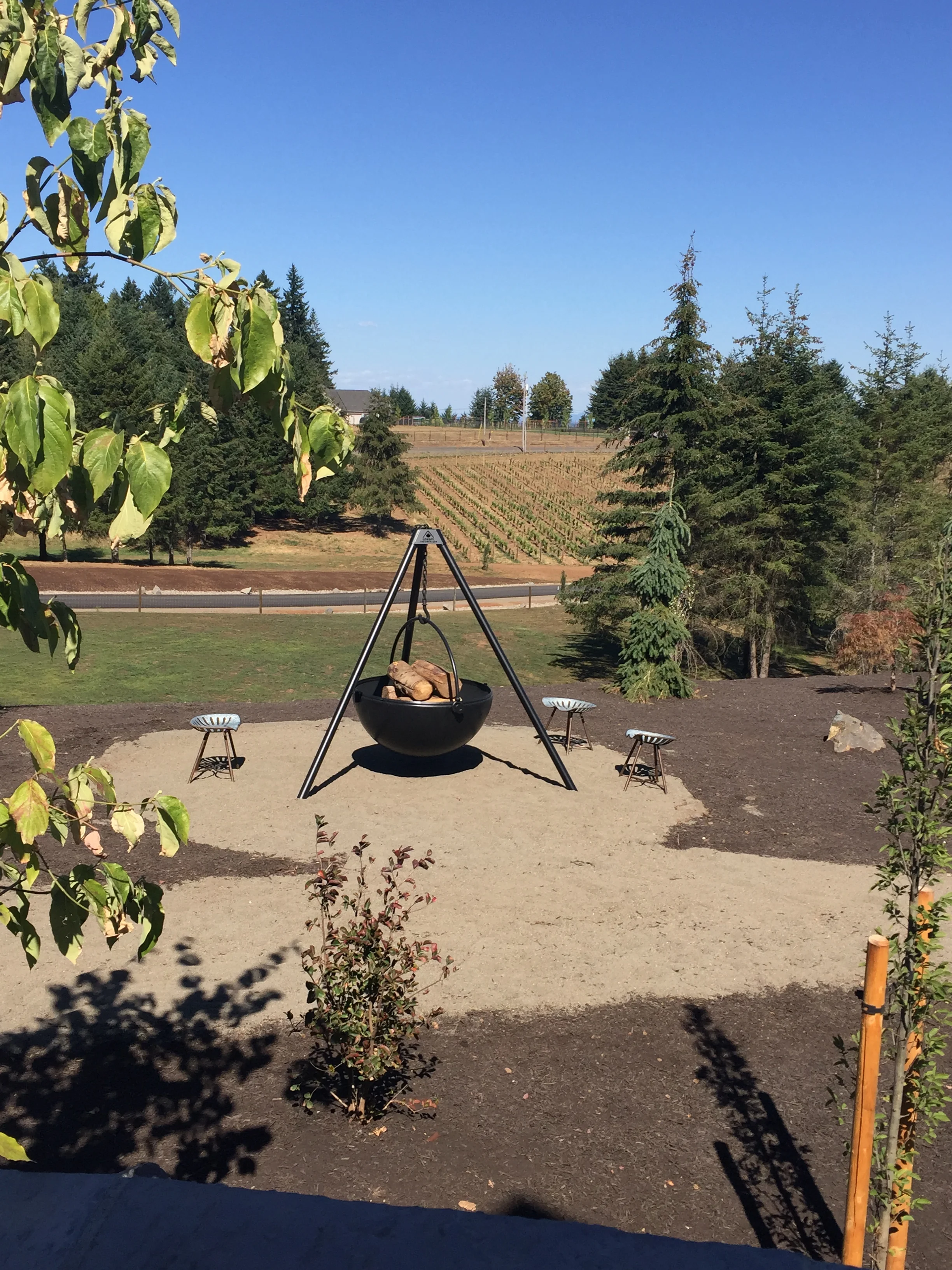 Another fire pit, overlooking the vineyard...
