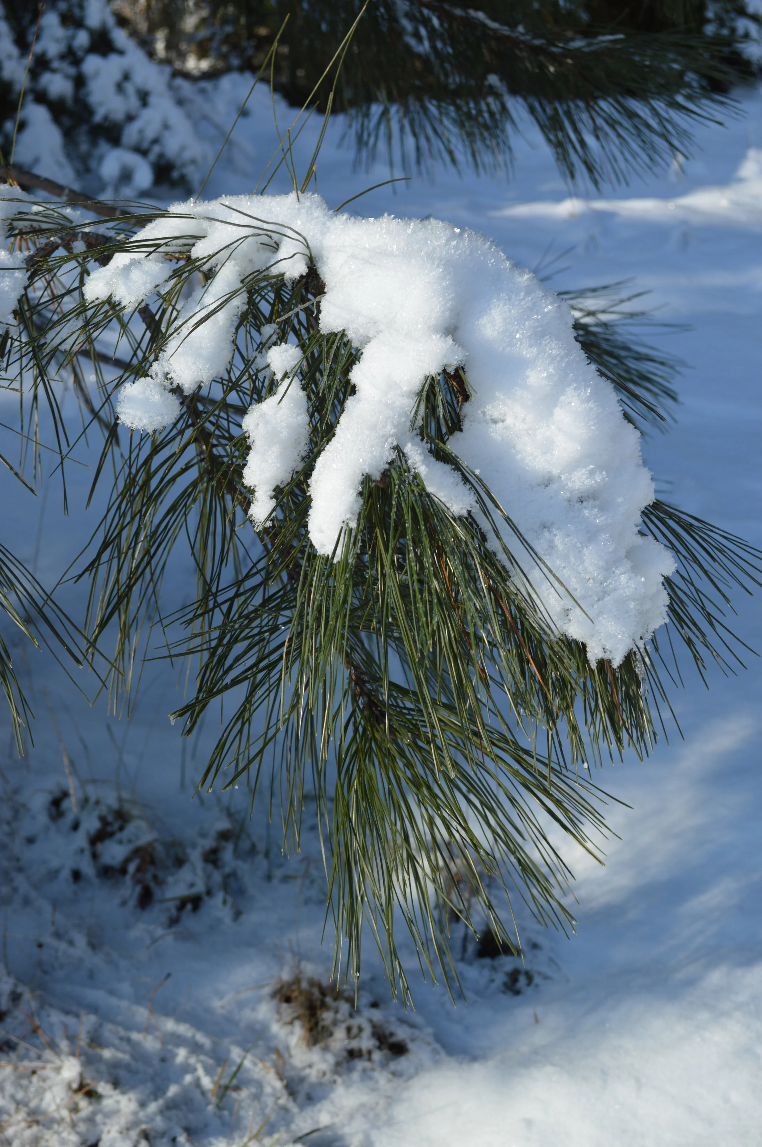 Instead of New Year's Resolutions...