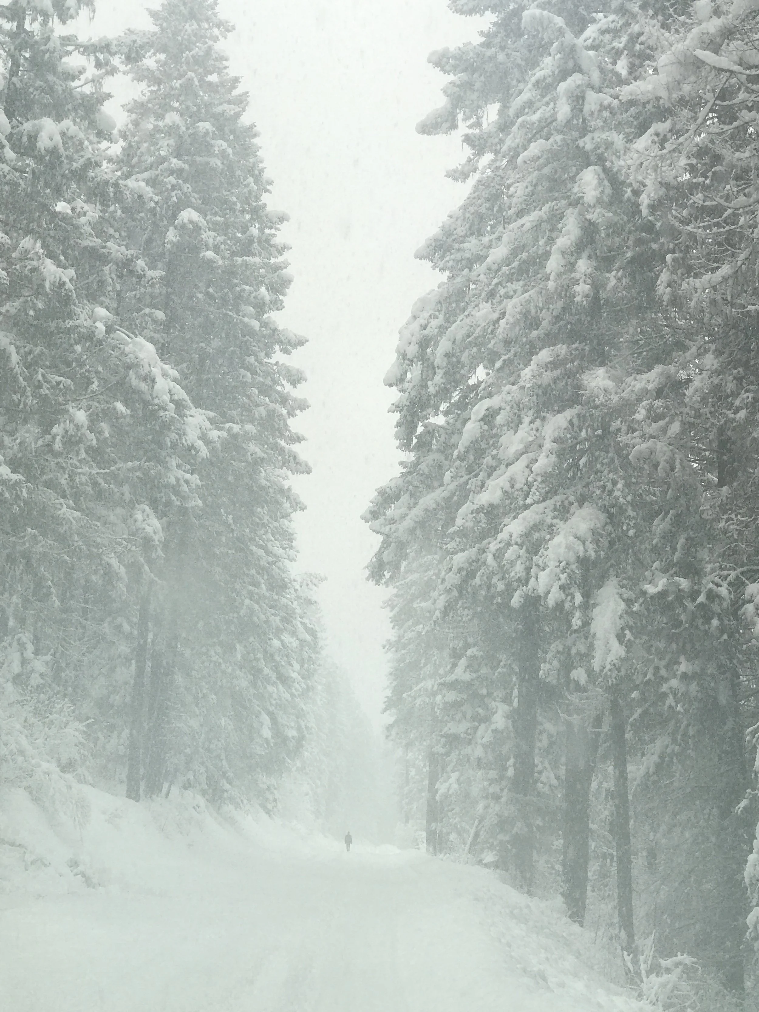 How silently, how silently...