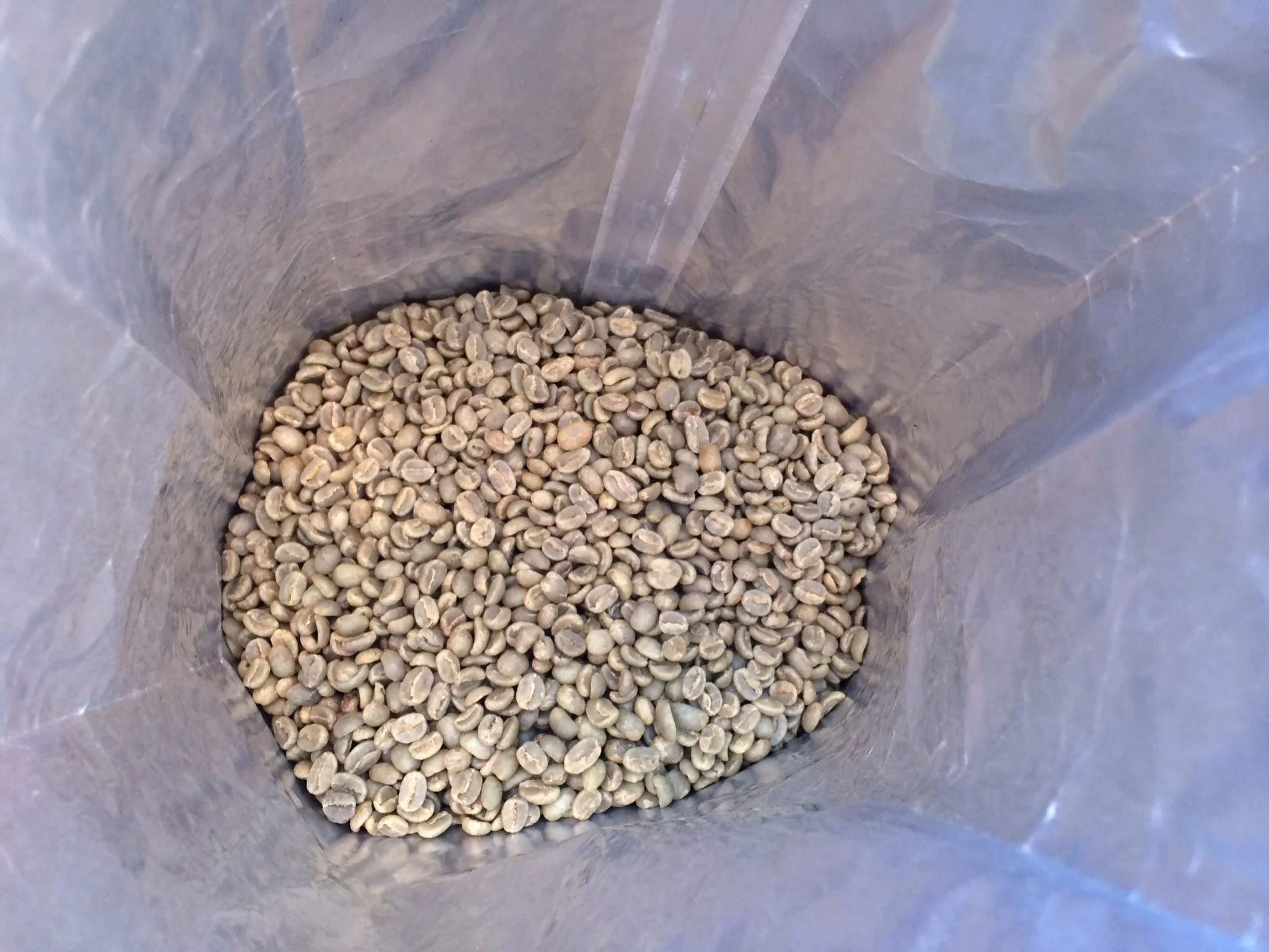 Ethiopian green beans. Process-natural