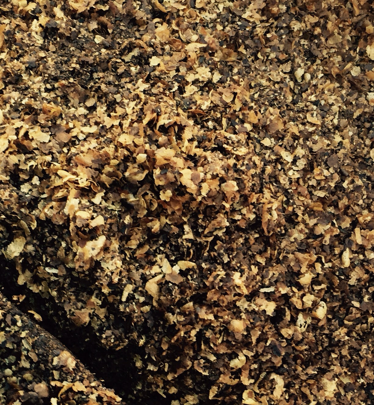 Chaff up close