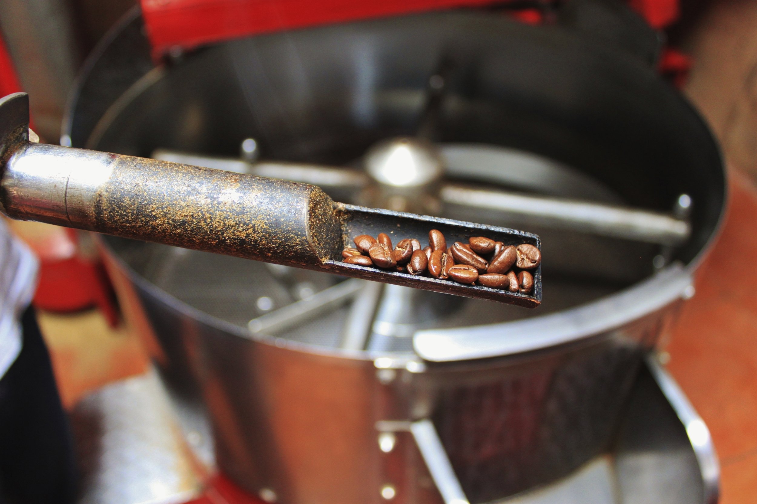 Fresh roasted coffee