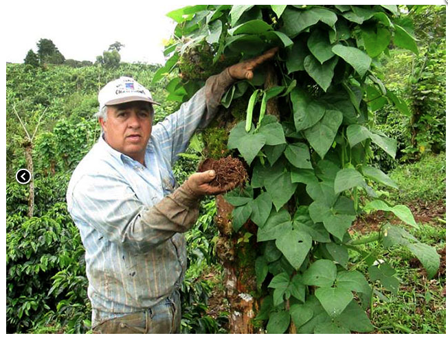 Manuel Montero