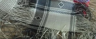 HOM with weavers.jpg