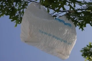 Yap Bans Plastic Shopping Bags
