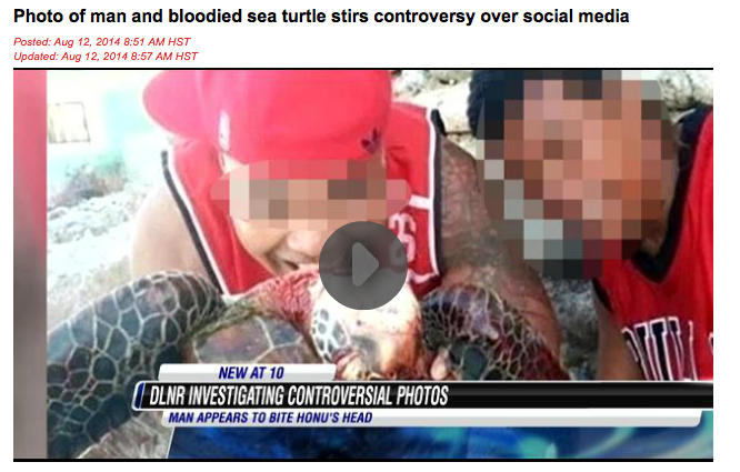 "Photo of man and bloodied sea turtle stirs controversy over social media". HNN