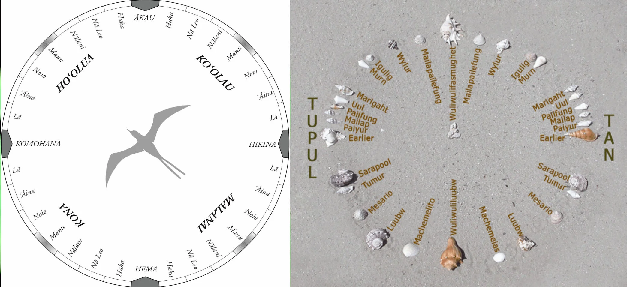 POLL: "Are Polynesians Culturally Appropriating Micronesian Navigation?"