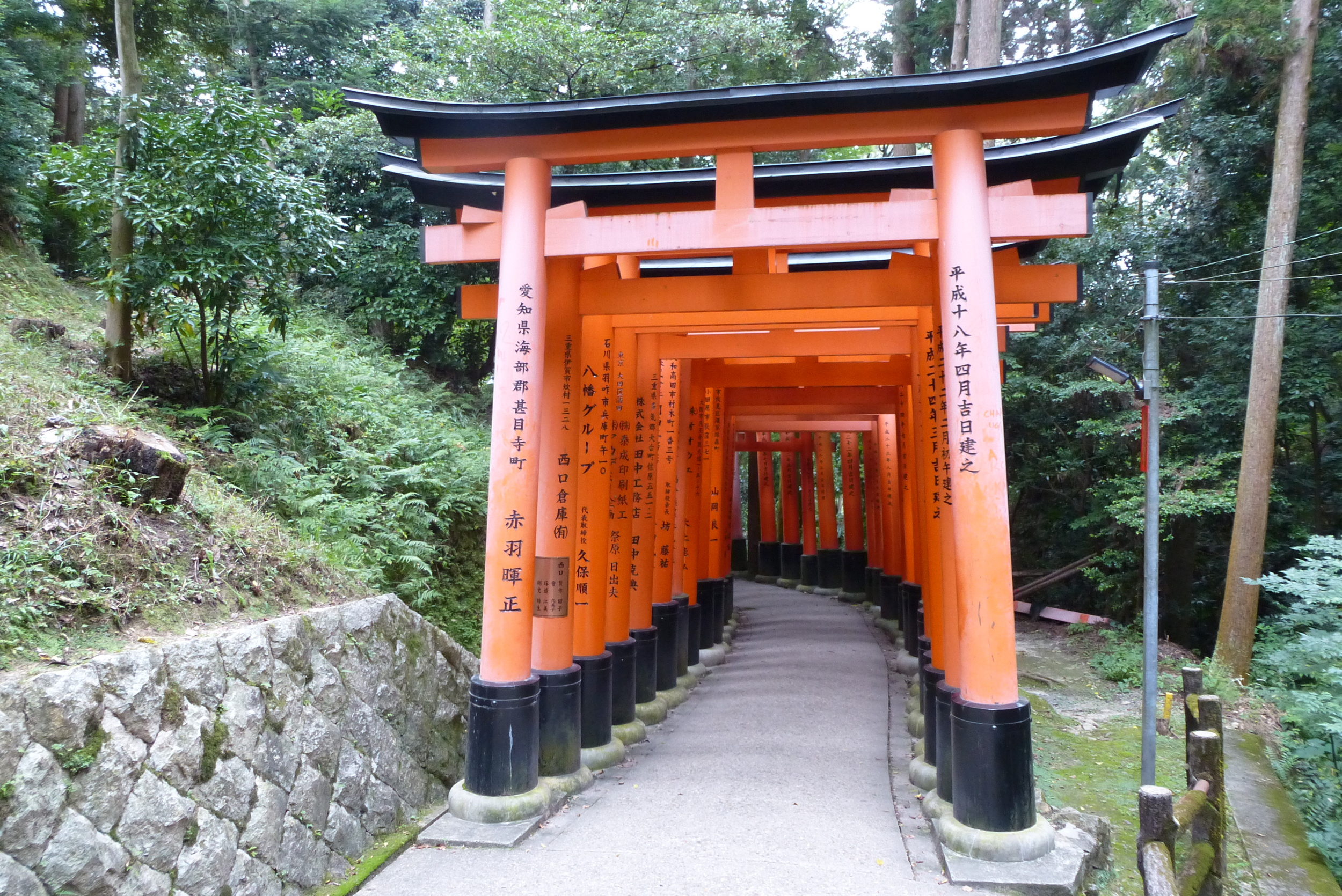 Torii gates at Fushimi Inari Taisha Shrine