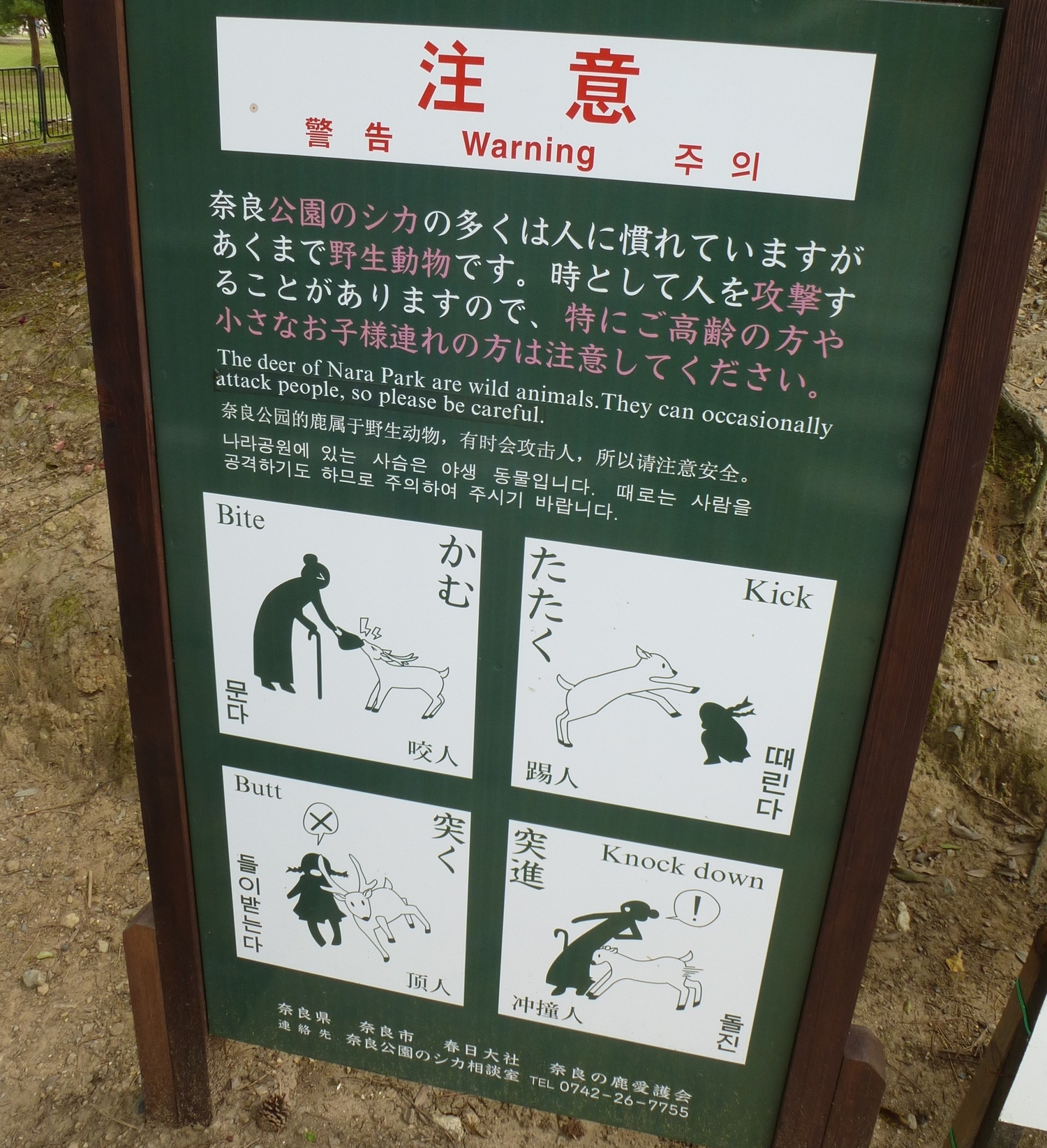 Warning sign about the "dangerous" deer