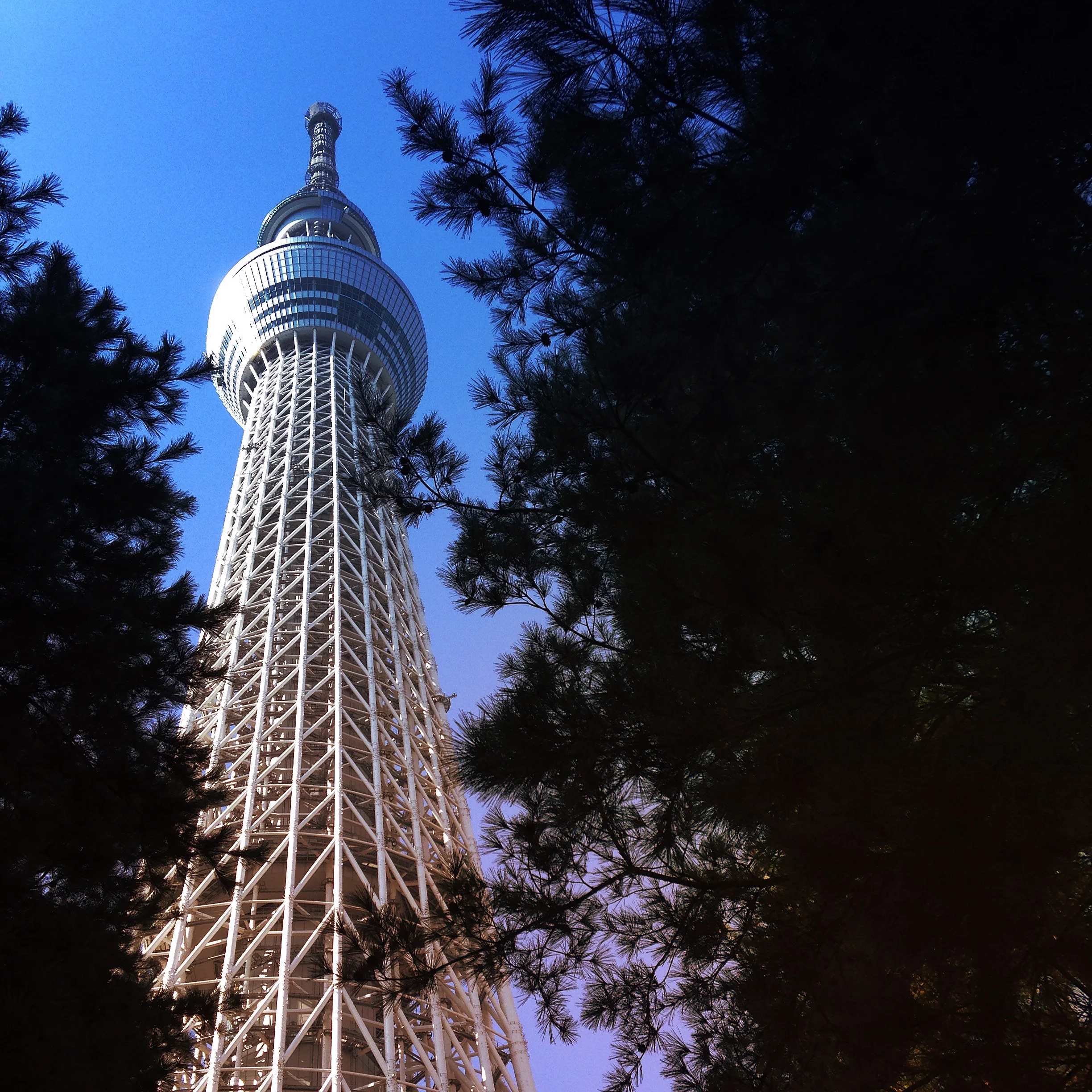 Tokyo Skytree