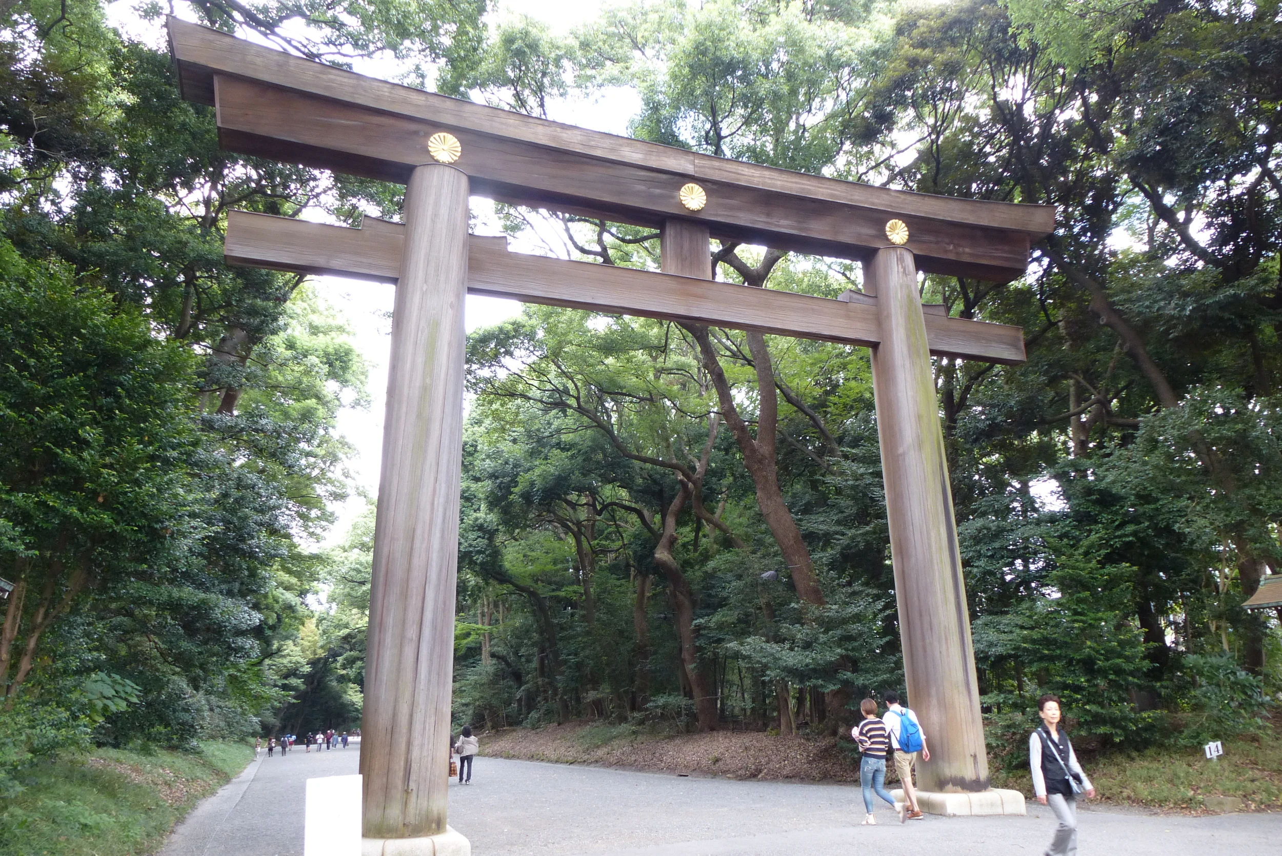 Torii gate to Meiji Shrine