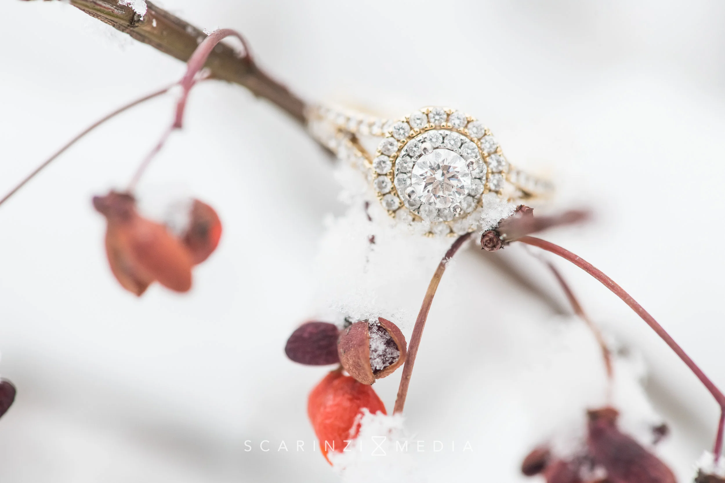 Scarinzi Engagement 5 Star-0001.jpg