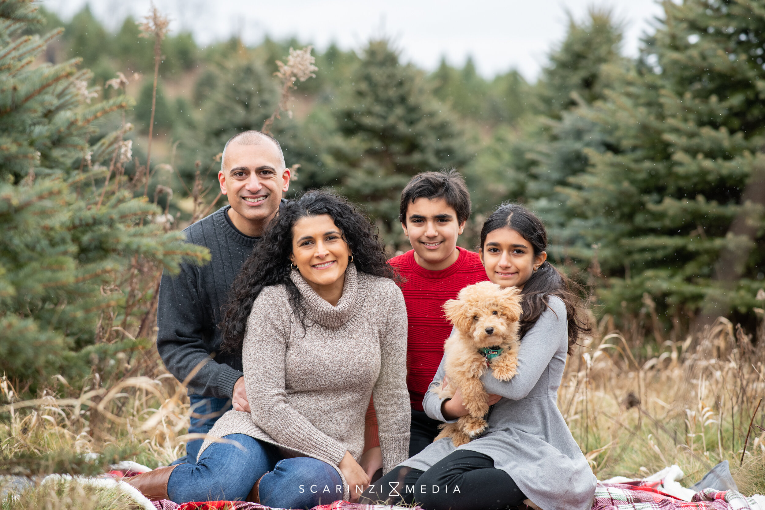 Xmas Minis Tree Farm - Uppal_social - 0006.JPG