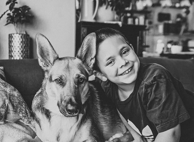 💘 .
.
.
#nanciimagery #gsdofinstagram #gsd #son #documentingchildhood #bestfriends