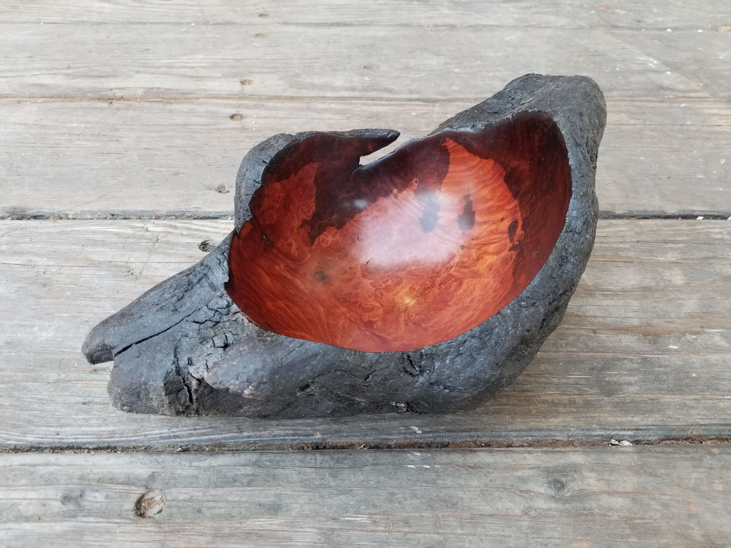 Charred Manzanita Burl Series - #2