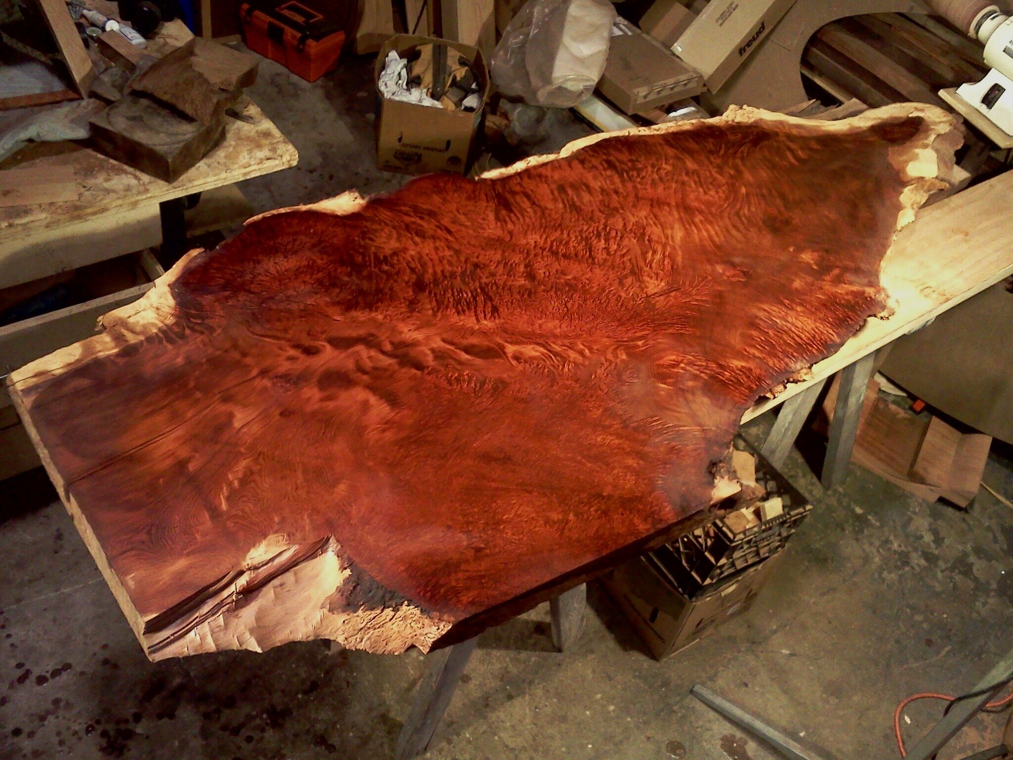 Old Growth Redwood Burl Slab
