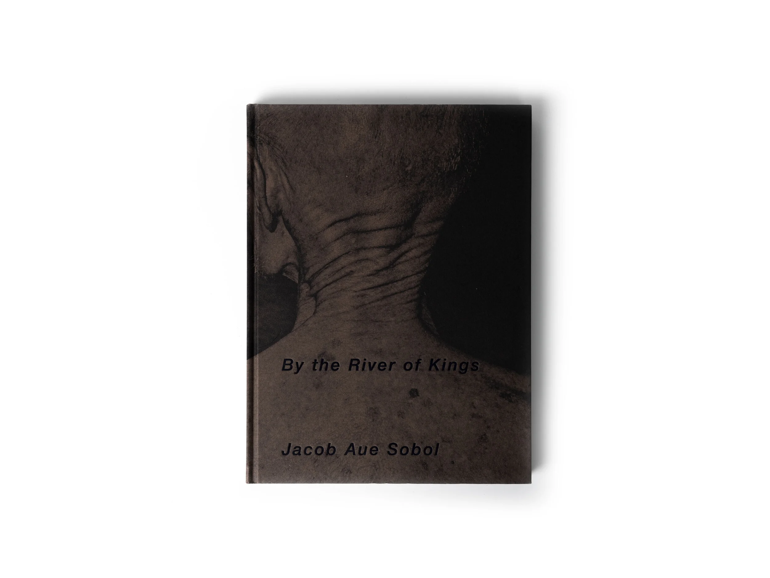By the river of Kings - Jacob Aue Sobol