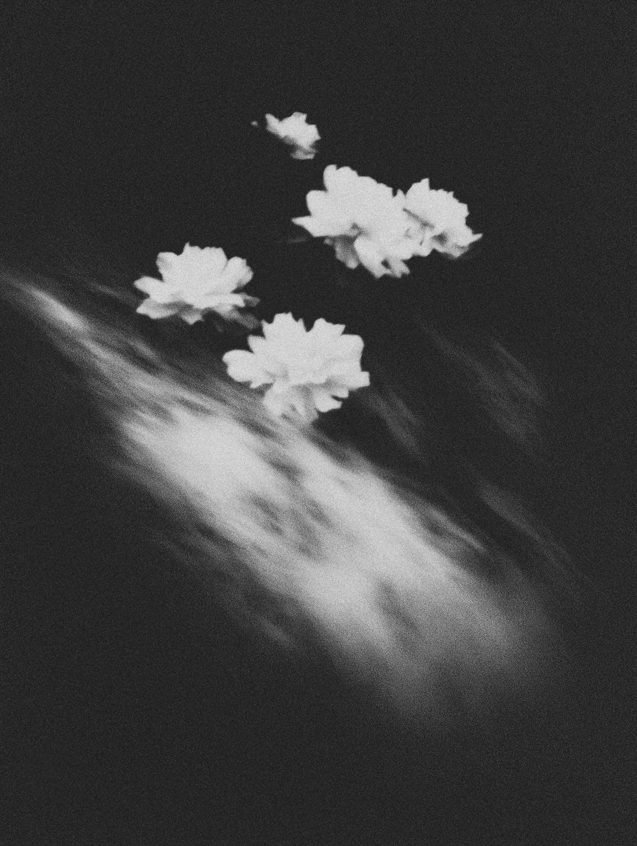 2025_ECHOFROMBEYOND_ECHO44_Low Res © Bastiaan Woudt.jpeg