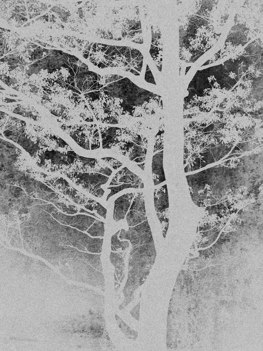 2026_HENRO_KI II_Low Res © Bastiaan Woudt.jpeg