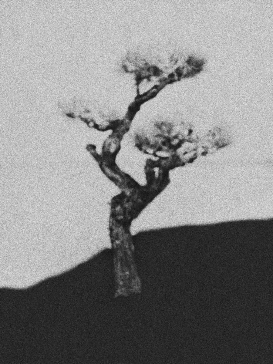 2026_HENRO_MATSU_Low Res © Bastiaan Woudt.jpeg