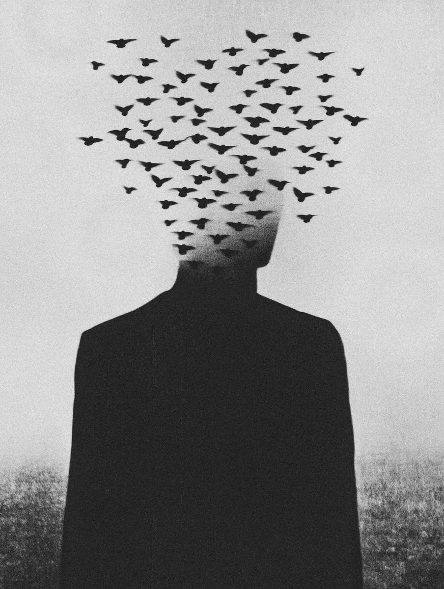 2025_ECHOFROMBEYOND_ECHO29_Low Res © Bastiaan Woudt.jpeg