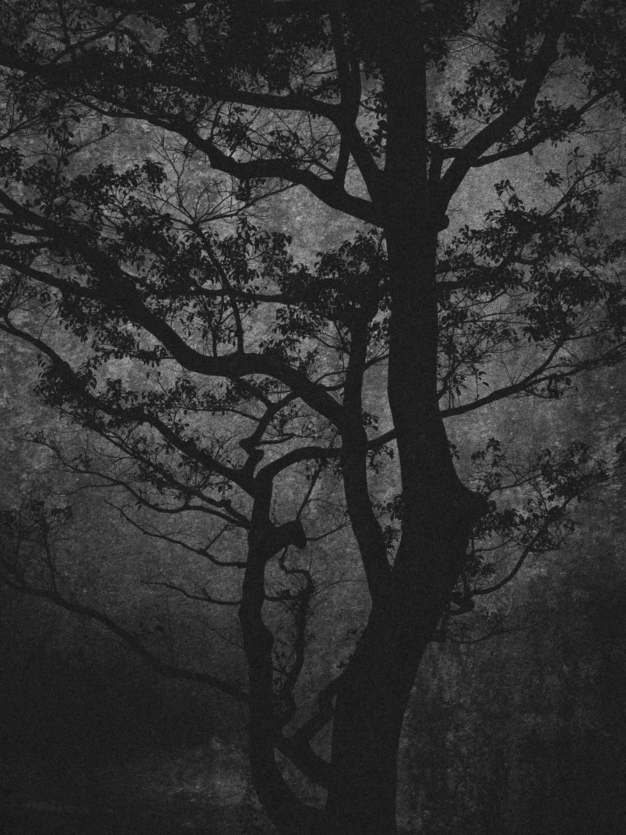 2026_HENRO_KI I_Low Res © Bastiaan Woudt.jpeg