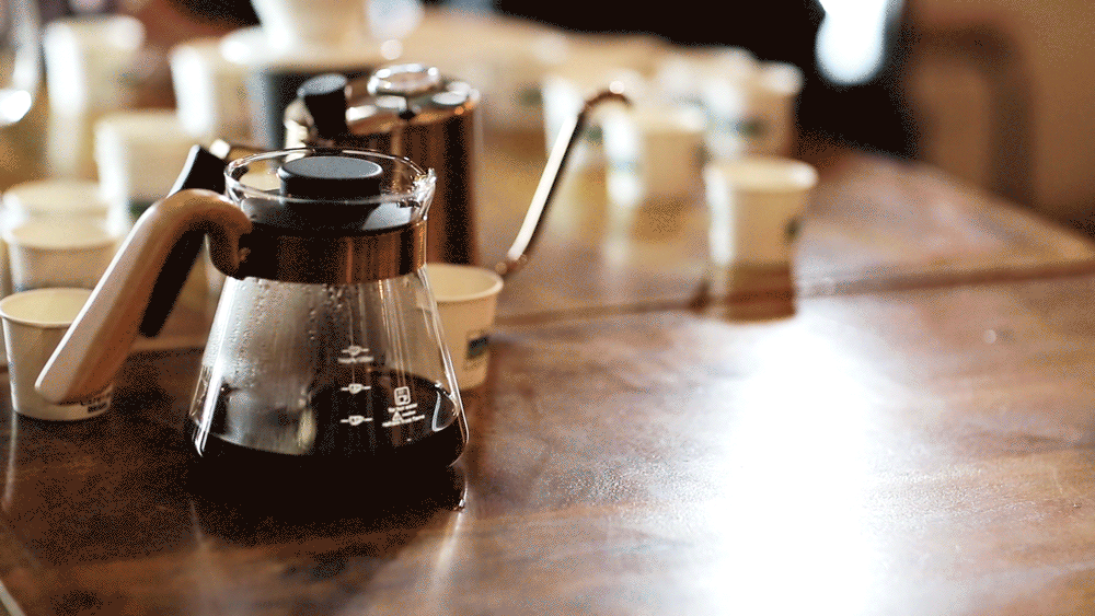 TCAC_Workshops-3472.gif