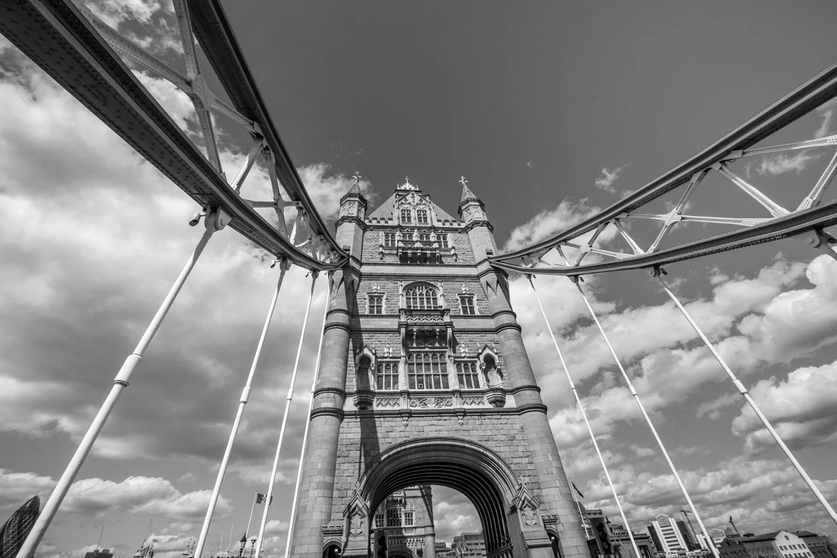 Claire Williams Photography (8 of 23).jpg