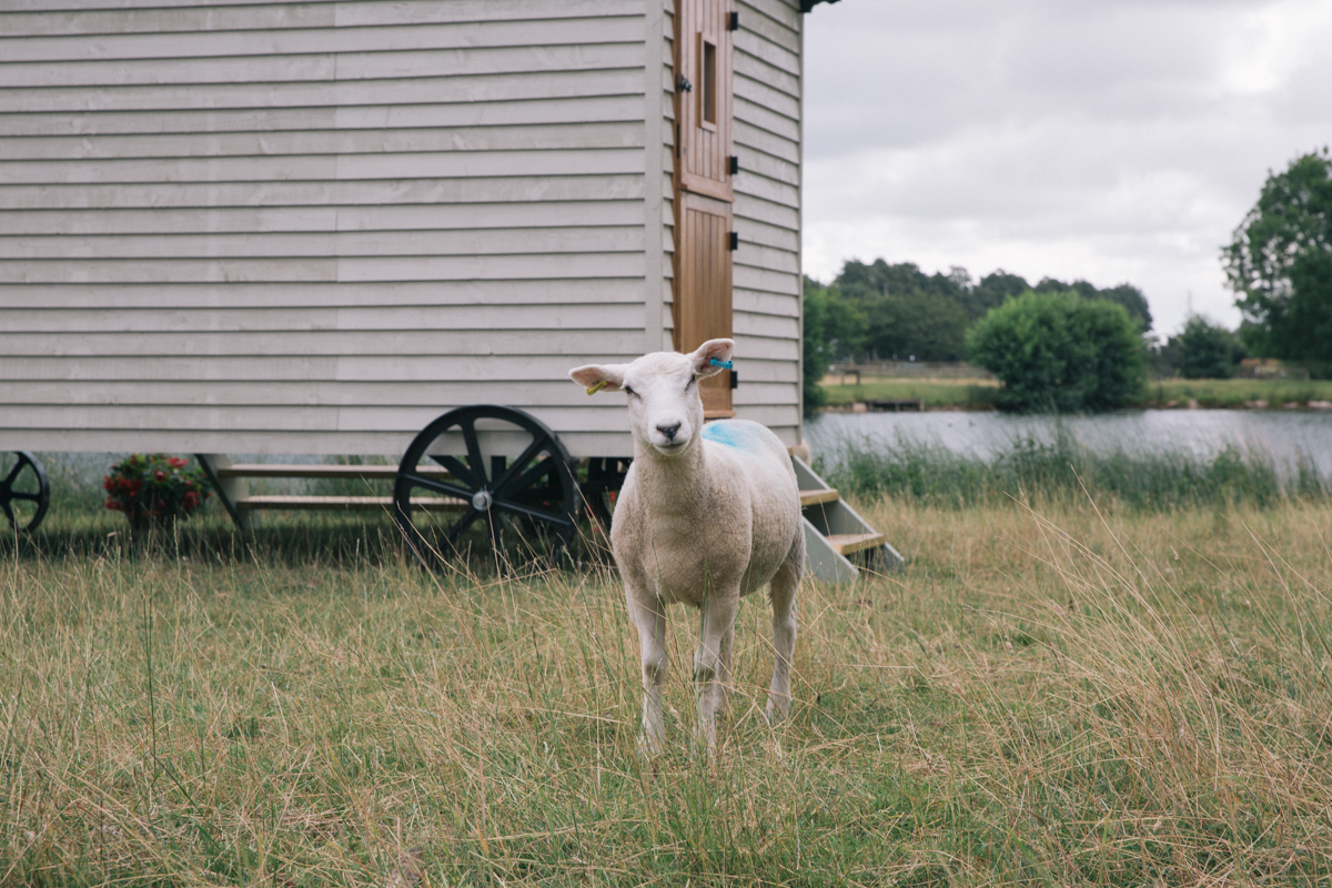 Claire Williams Photography (51 of 79).jpg