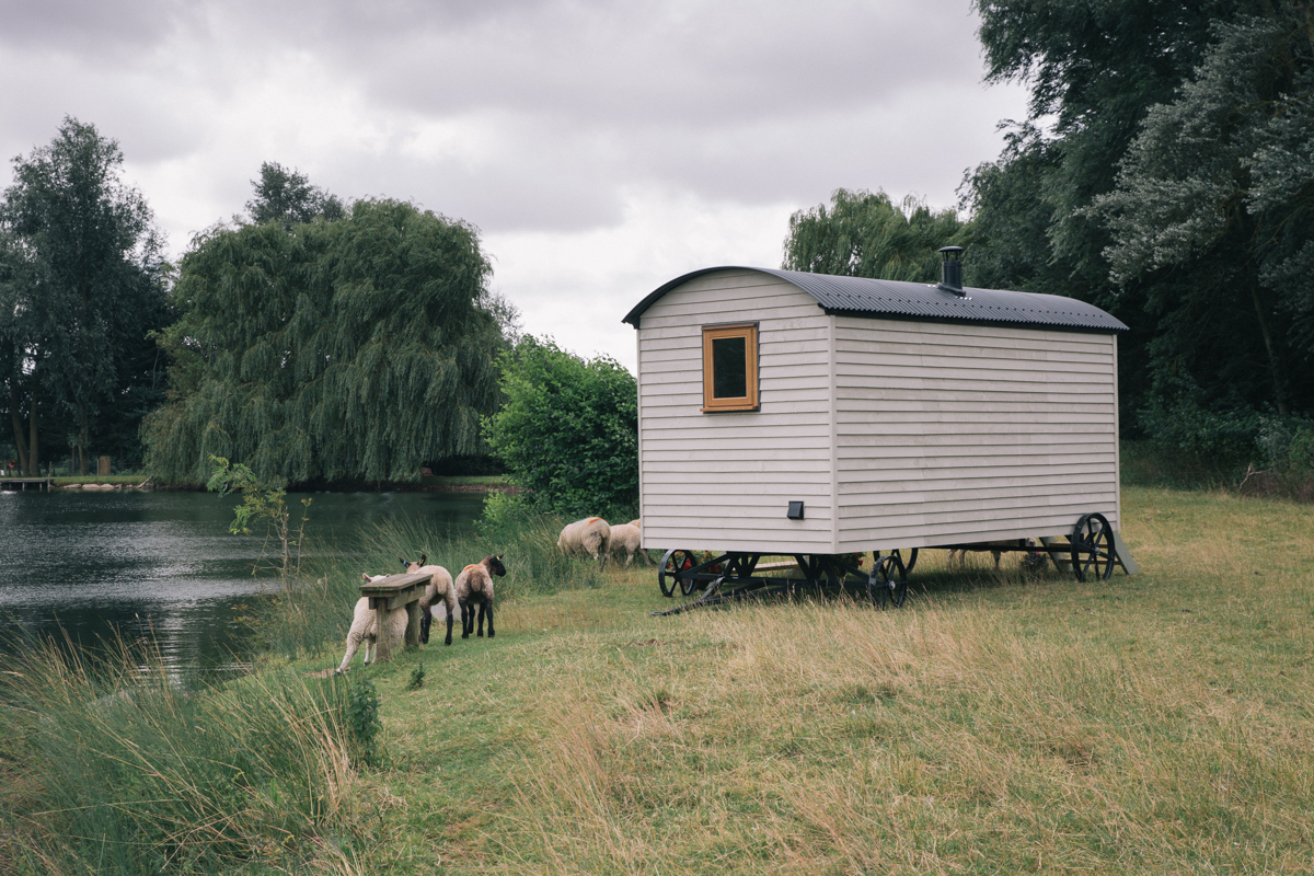 Claire Williams Photography (53 of 79).jpg
