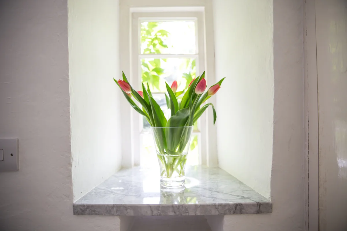 Claire Williams Photography (50 of 117).jpg