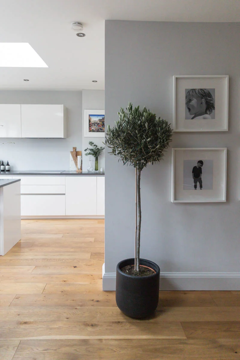 Residential interior design by Nikki Rees - Claire Williams Photography