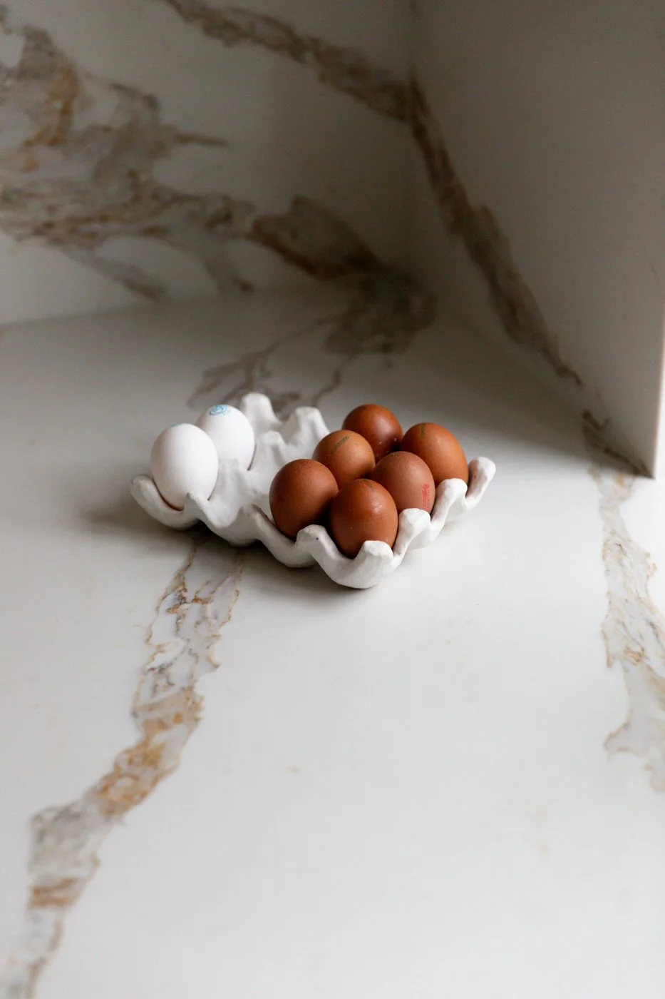 Claire Williams Photography (2 of 3).jpg