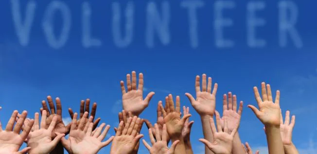 volunteer 2.jpg