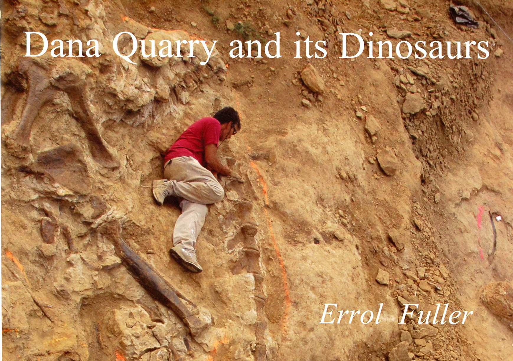 books Dana Quarry and its Dinosaurs.jpg