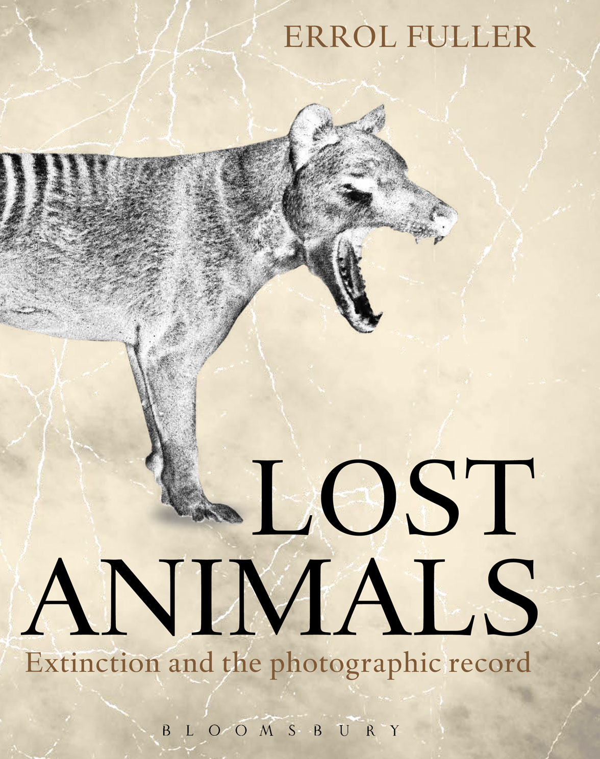 LOST-ANIMALs-cover.jpg