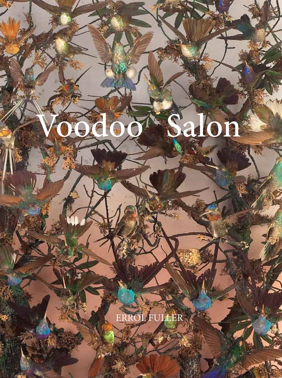 Voodoo Salon