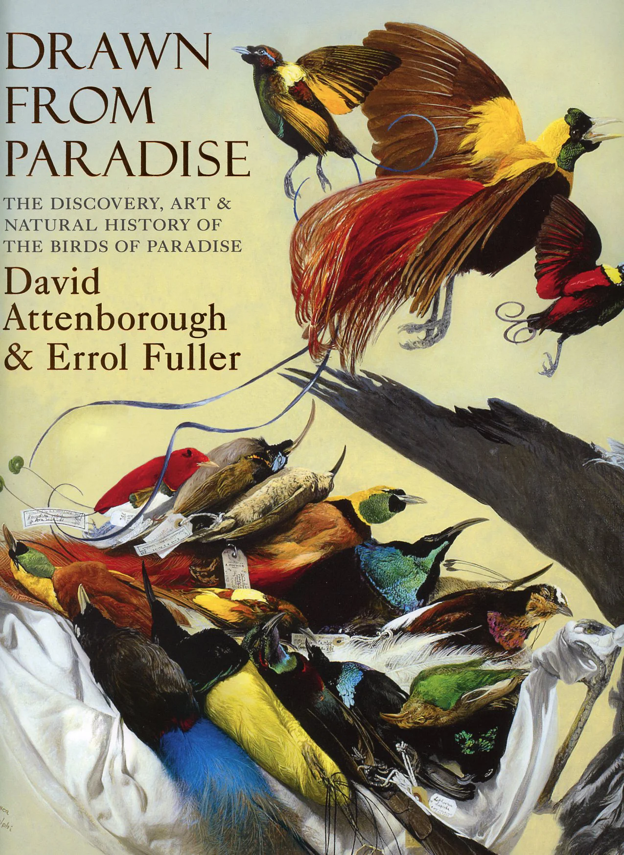 Drawn From Paradise. David Attenborough & Errol Fuller.
