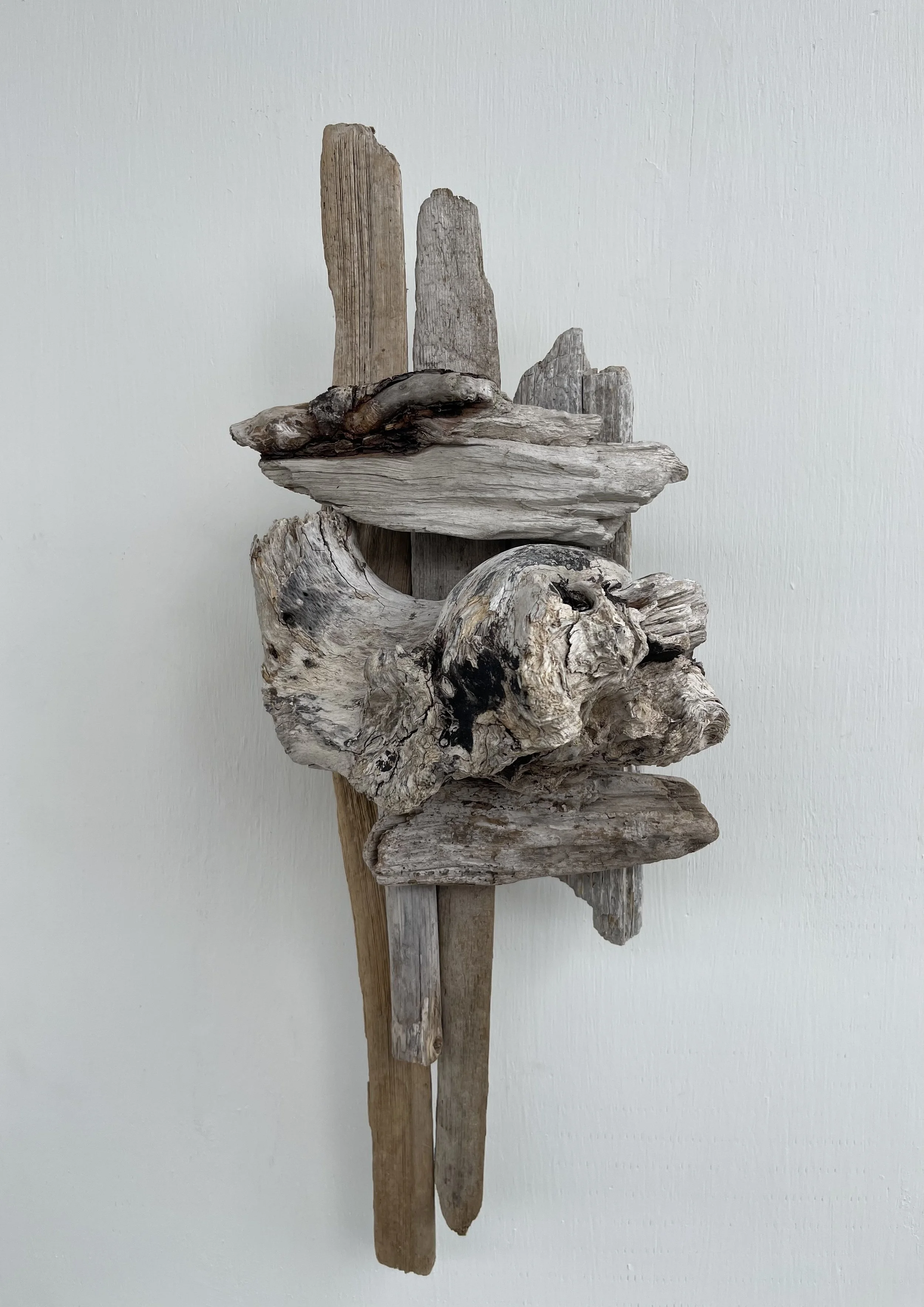 Burl in the middle.jpeg