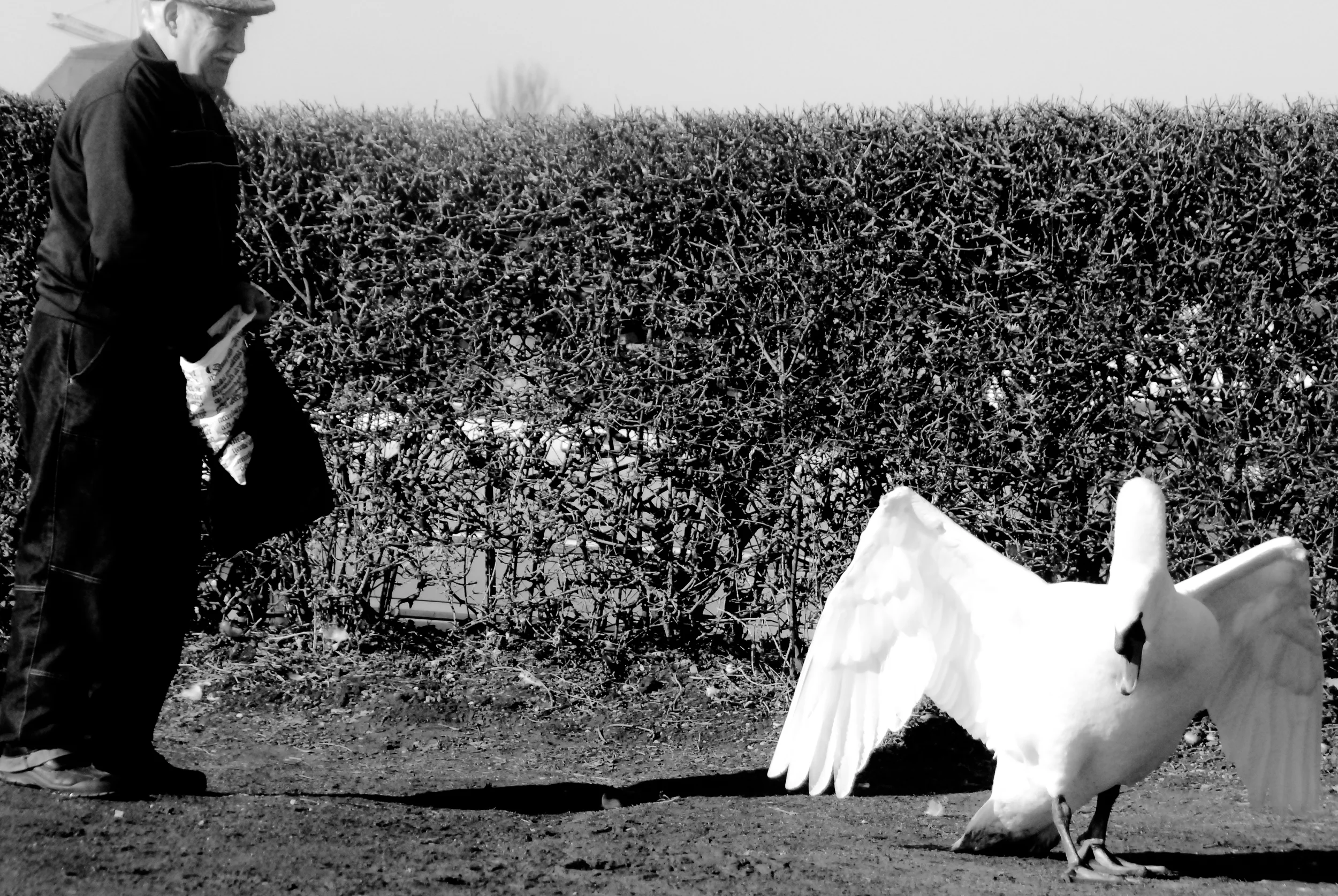 DSC_0042.jpg