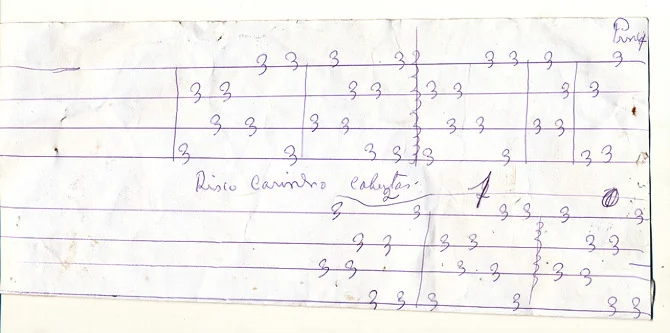 padrao-cobertas-de-carrinho.jpg