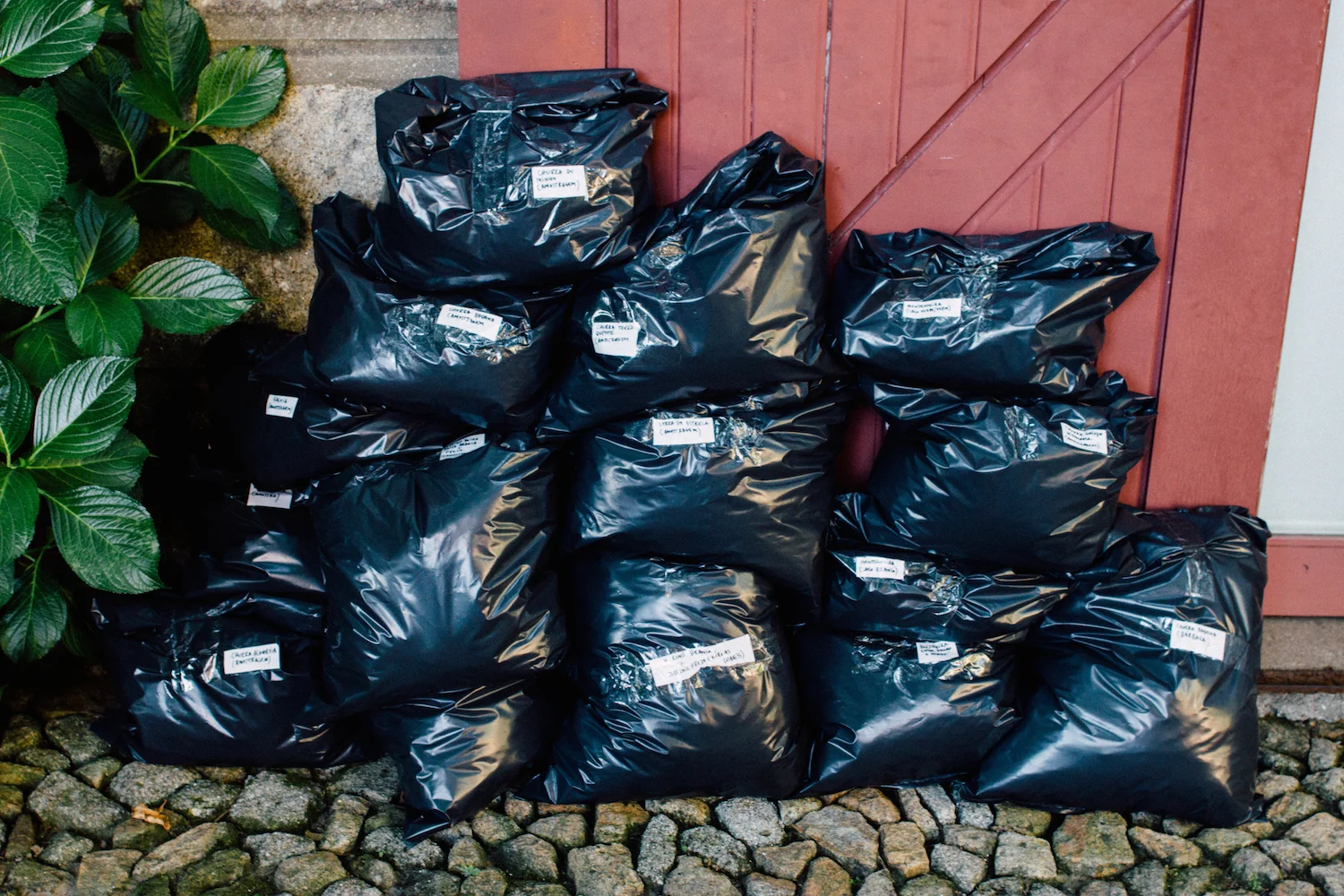 As amostras de todas as lãs em bruto, já separadas e identificadas. / The samples from the fleeces from all our national wools, properly separated and identified.