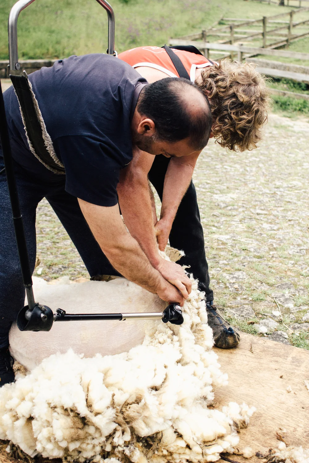 Aprender a tosquiar — Saber Fazer